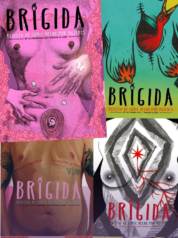 Portadas de la Revista Brígida